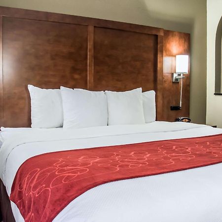 Comfort Suites University - Research Park Charlotte Buitenkant foto