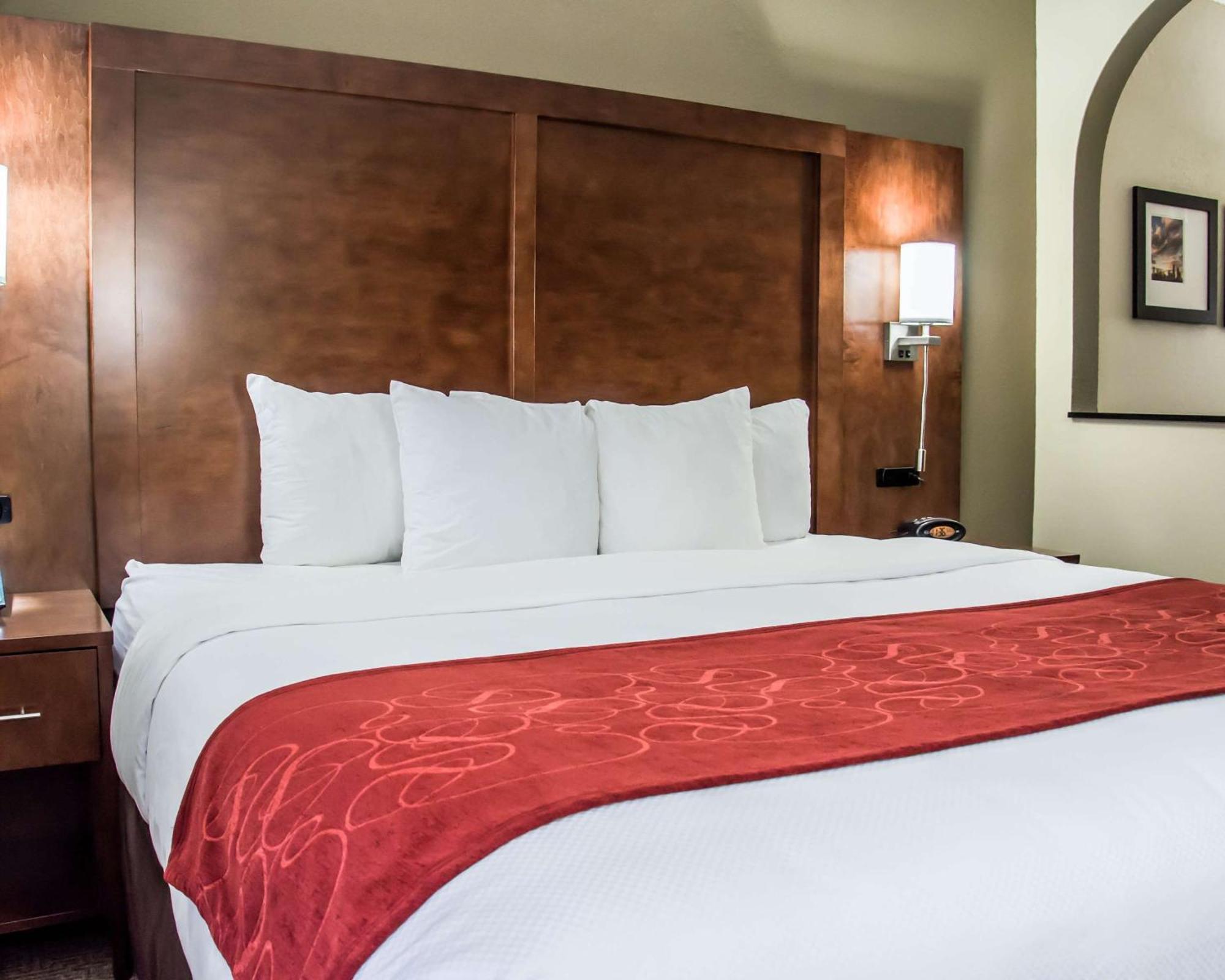 Comfort Suites University - Research Park Charlotte Buitenkant foto